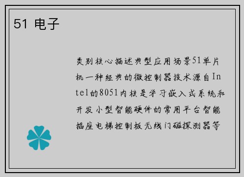 51 电子