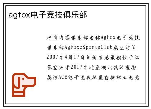 agfox电子竞技俱乐部